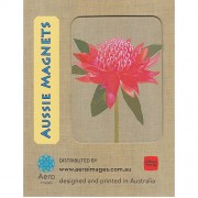 Magnet - Waratah by Gillian Mary